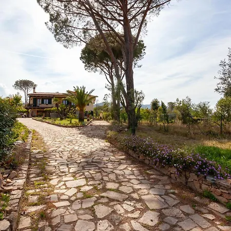 Affittacamere Residenza Eucalyptus San Teodoro (Sardinia)