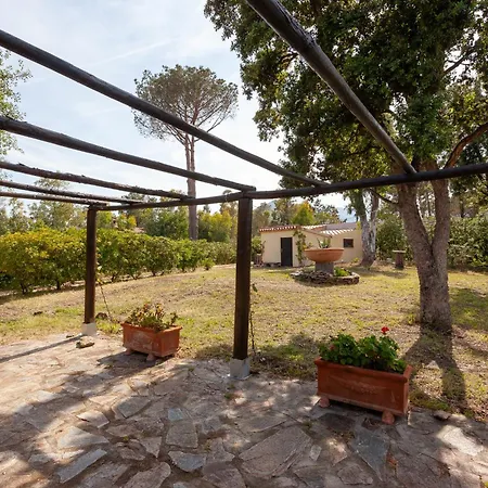 Affittacamere Residenza Eucalyptus