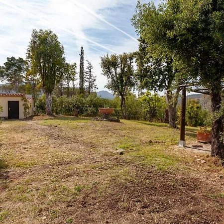 Residenza Eucalyptus Affittacamere *