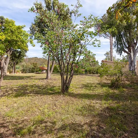 Residenza Eucalyptus San Teodoro (Sardinia)