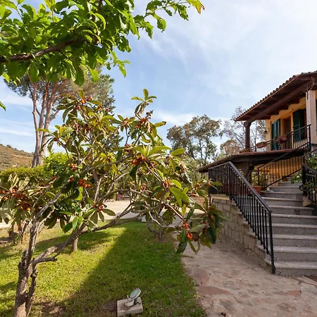 Residenza Eucalyptus