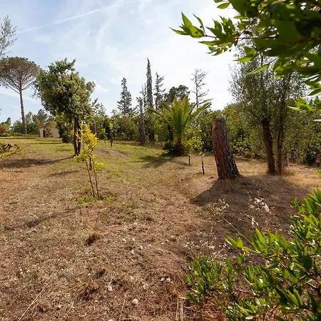 Residenza Eucalyptus * San Teodoro (Sardinia)