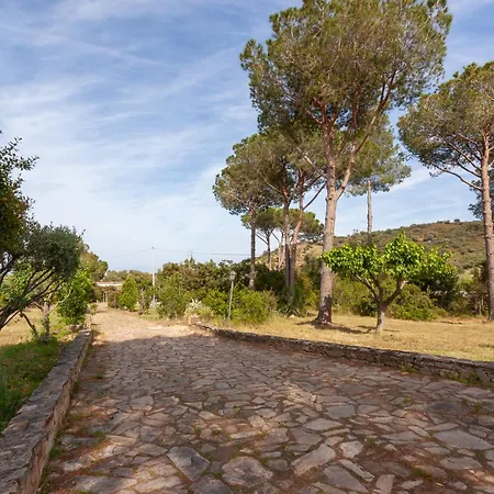 Residenza Eucalyptus Affittacamere San Teodoro (Sardinia)